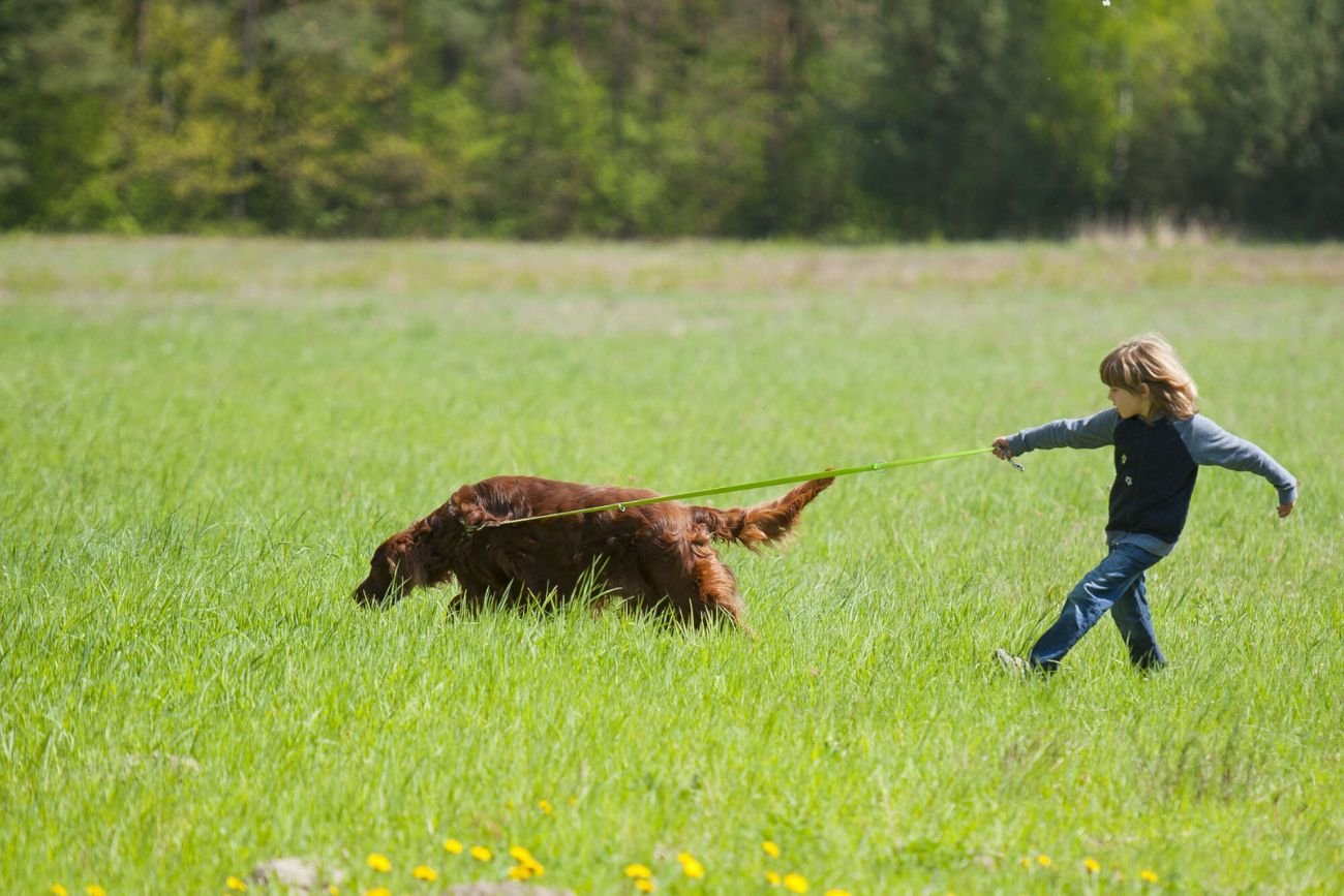 Dziecko zadziwiło archeologów. Chłopiec dokonał odkrycia na spacerze z psem (Zdjęcie ilustracyjne 03.05.2015 r.)