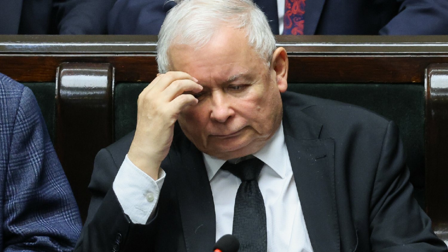 Leśniczy o słowach Jarosława Kaczyńskiego ws. dzików: To jest mem