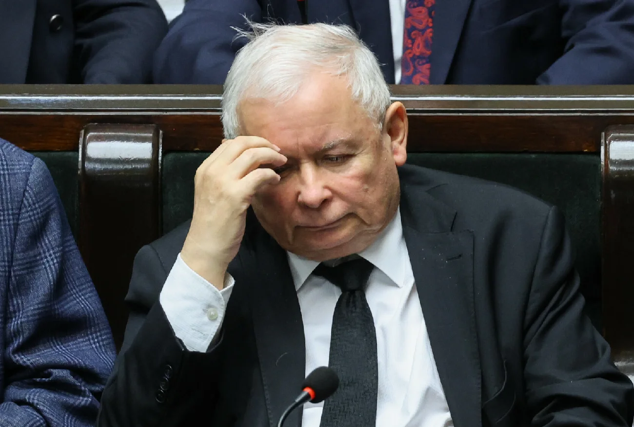 Leśniczy o słowach Jarosława Kaczyńskiego ws. dzików: To jest mem