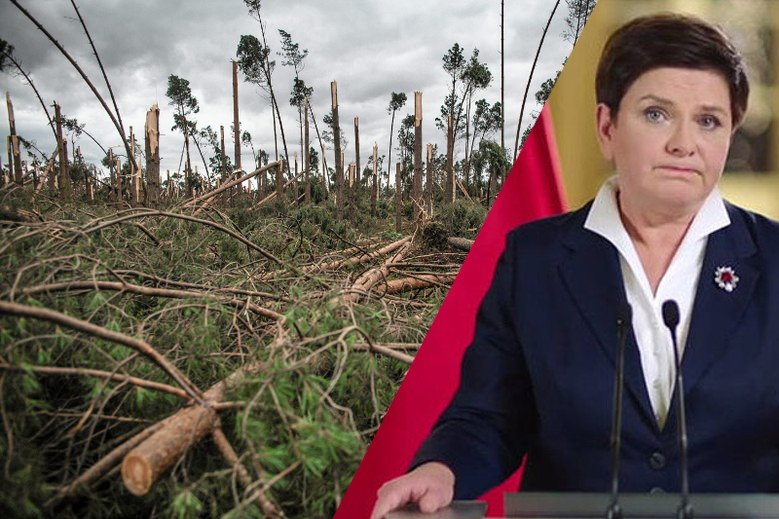 Premier Szydło we wtorek ma się pojawić na terenach zniszczonych przez nawałnicę.