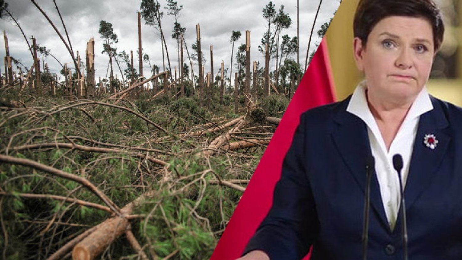 Premier Szydło we wtorek ma się pojawić na terenach zniszczonych przez nawałnicę.