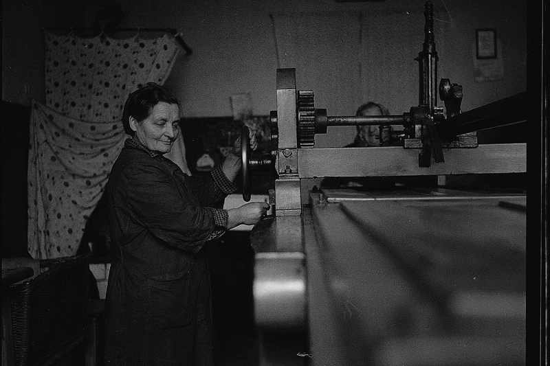 Magiel prasujący, gatunek ginący