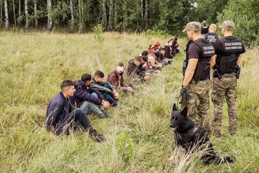 Rekordowa liczba zatrzymanych na granicy Polski z Białorusią.