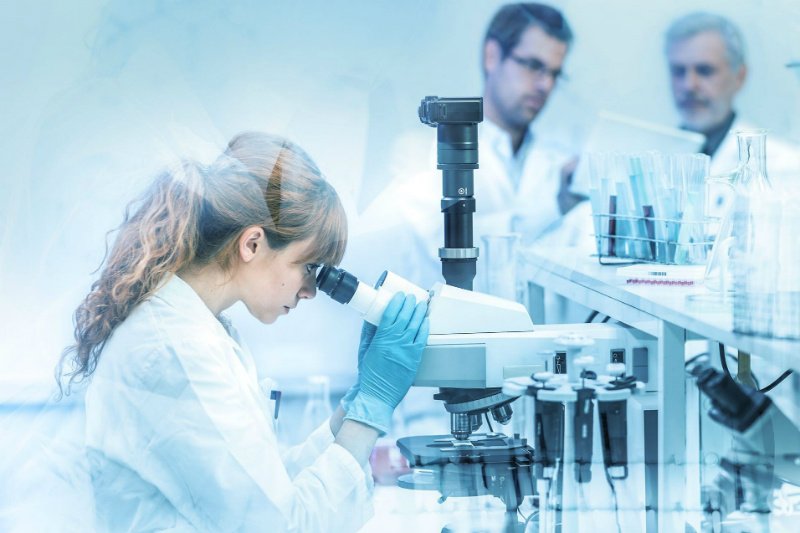 Kanadyjska firma biotechnologiczna Medicago opracowała szczepionkę na chorobę COVID-19 z wykorzystaniem przeciwciał wyprodukowanych przez rośliny tytoniowe z rodziny Nicotiana benthamiana