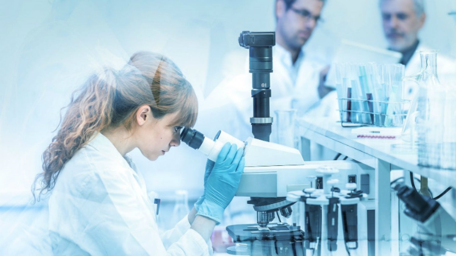 Kanadyjska firma biotechnologiczna Medicago opracowała szczepionkę na chorobę COVID-19 z wykorzystaniem przeciwciał wyprodukowanych przez rośliny tytoniowe z rodziny Nicotiana benthamiana