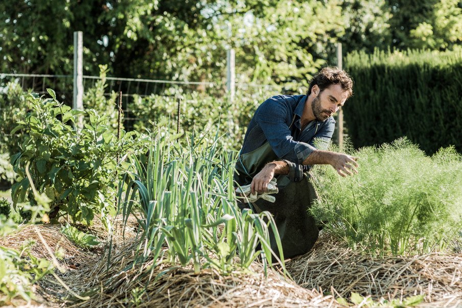 [url=http://shutr.bz/1l1eXNQ] Uprawa permakulturowa [/url]