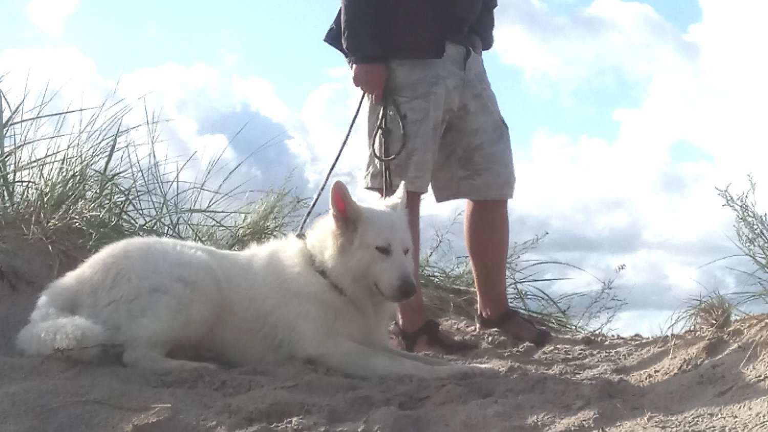 Przy okazji wizyty na pikniku rodzinnym"Zawody Latających Psów" panowie mogą zadbać o siebie.