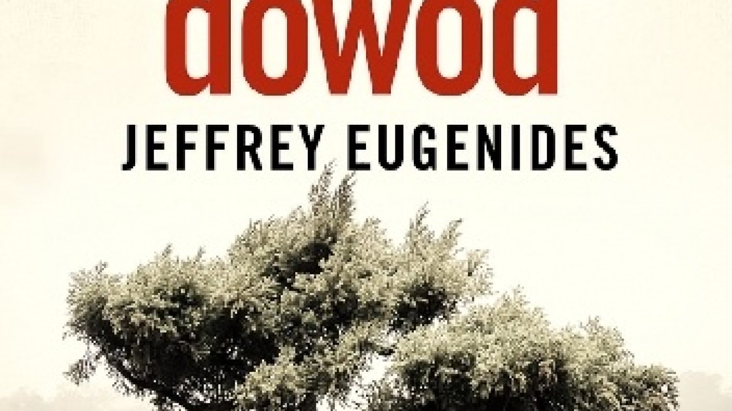 Jeffrey Eugenides
Nowy dowód