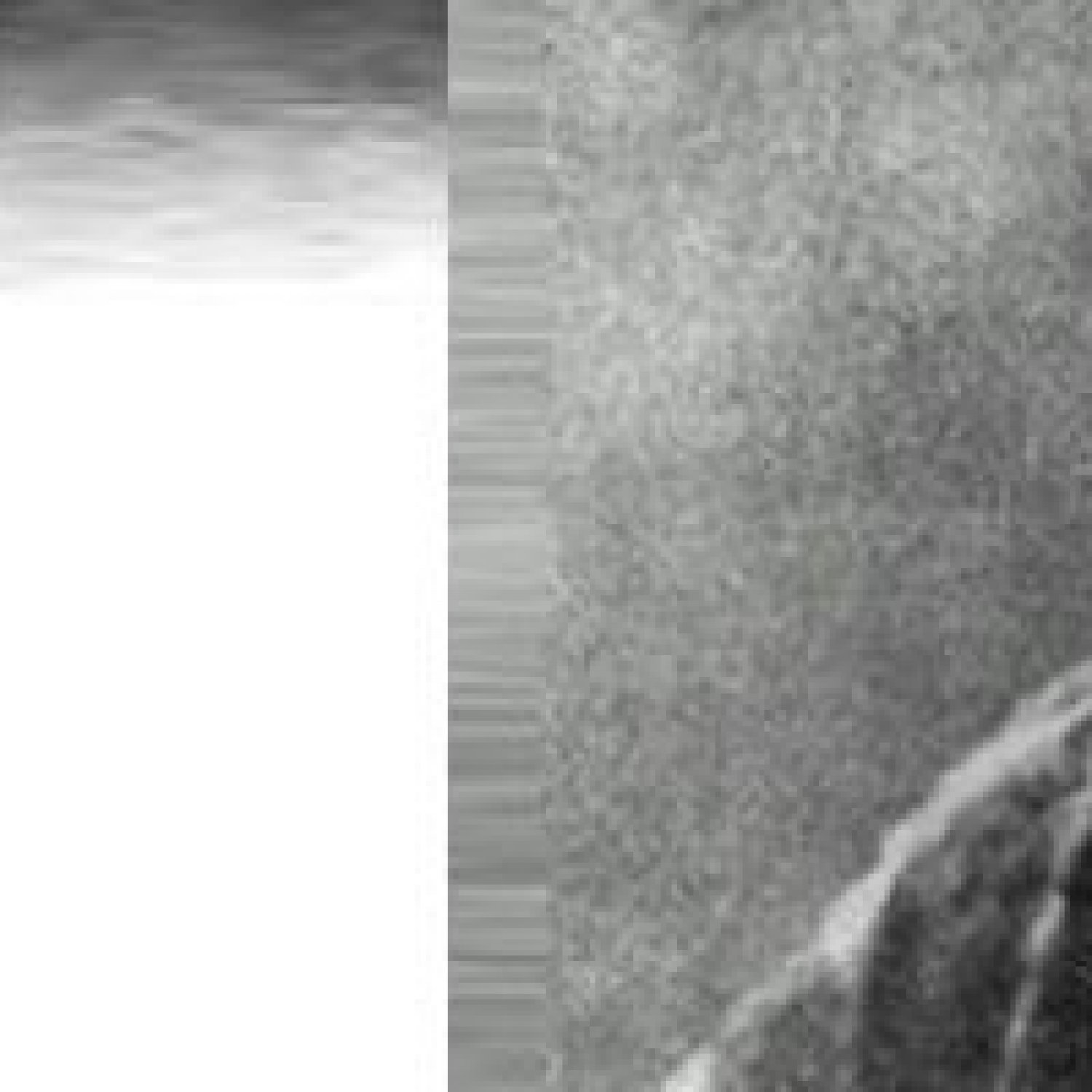 Nie tylko Skłodowska