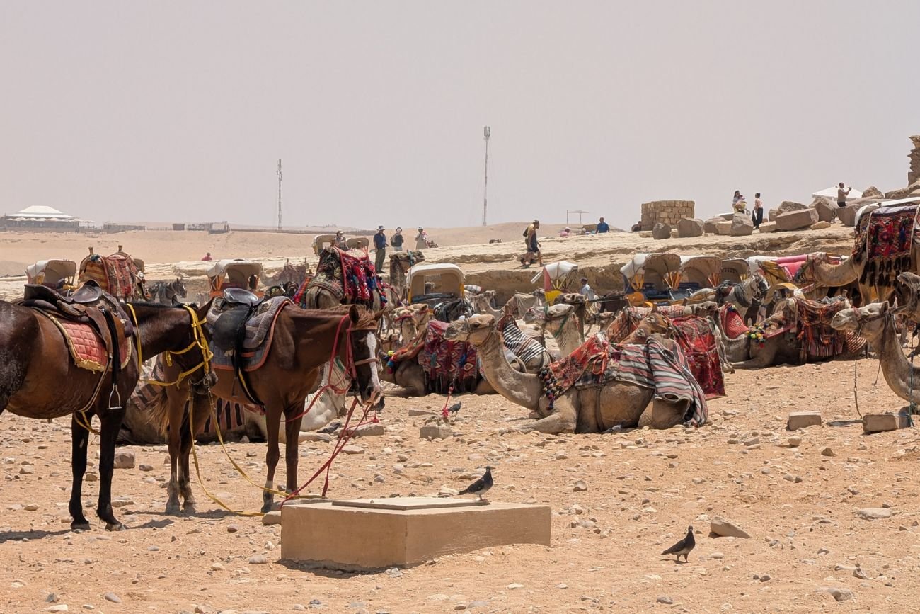 Wszystko, co najgorsze w Egipcie spotkało mnie w jednym miejscu. Potrzeba tam więcej zmian