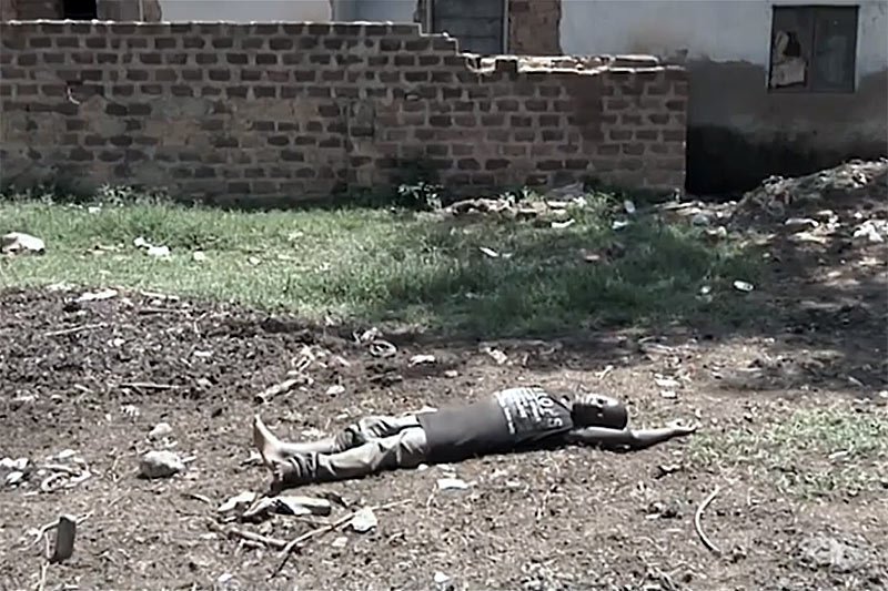 "Harlem Shake" posłużył kampanii społecznej francuskiego Czernownego Krzyża.