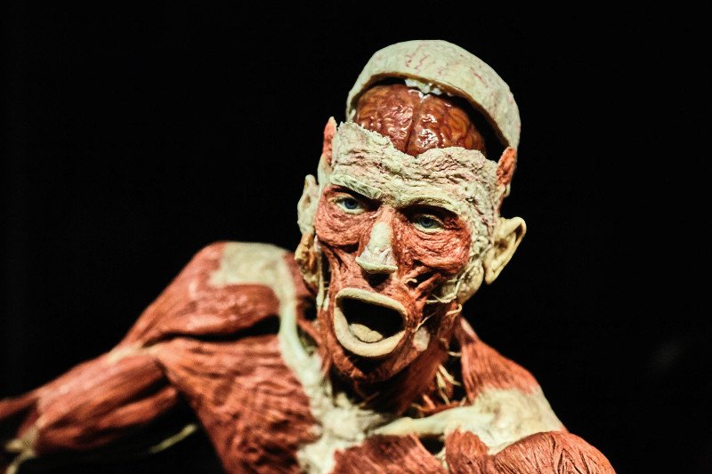 Wystawa budzi skrajne emocje