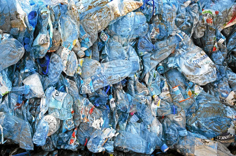 Plastikowe butelki zwykle pogniecione trafiają na śmietnik. A można z nich jeszcze zrobić użytek