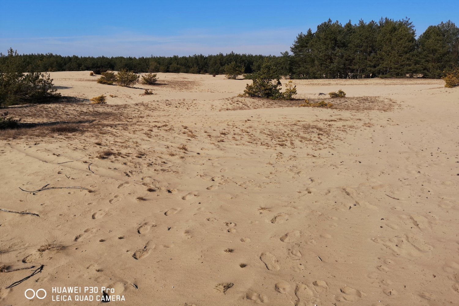 Zdjęcie wykonane smartfonem Huawei P30 Pro.