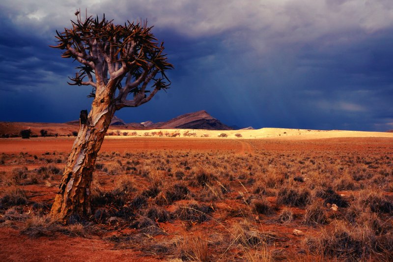 Afryka: Adolf Hitler wygrywa wybory w Namibii Afryka: Adolf Hitler wygrywa wybory w Namibii