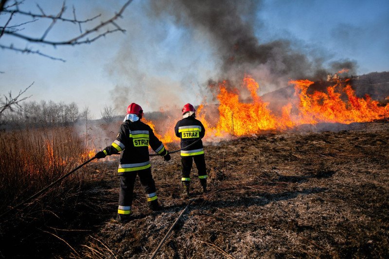 Nowa ekipa wprowadziła do Państwowej Straży Pożarnej swoich ludzi. Zdaniem strażackich generałów, w formacji źle się dzieje.