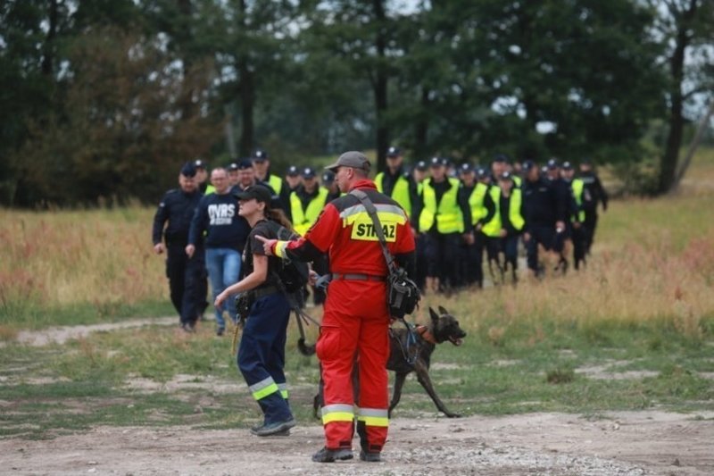 Poszukiwania Dawida trwają już ponad tydzień.