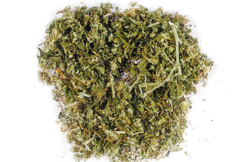 Marihuana może pomagać w leczeniu Alzheimera