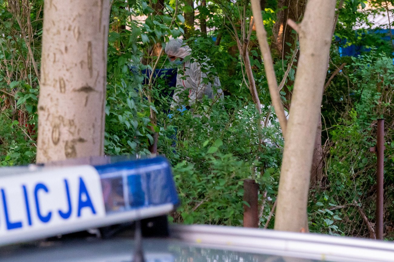 Spacerowicz znalazł ciało w lesie, było już w stanie rozkładu. (Zdjęcie poglądowe)