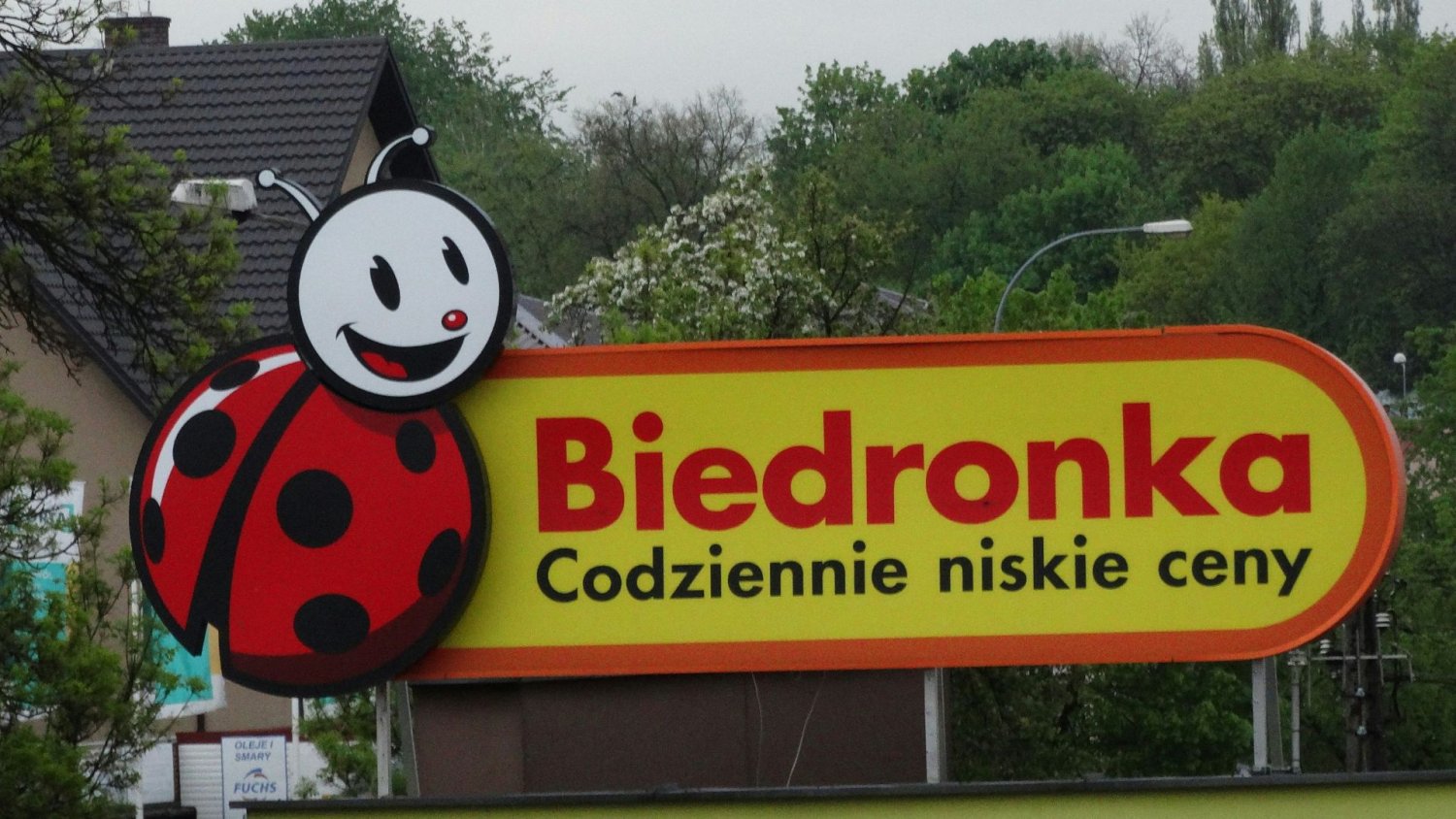 GIS wycofuje popularną rybę z Biedronki. Lepiej sprawdź, czy nie masz w lodówce