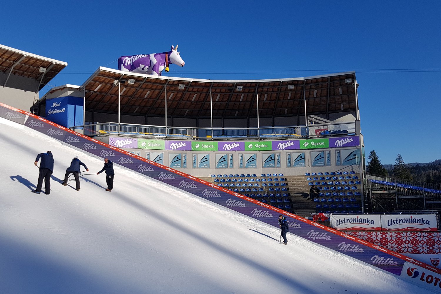 Podczas zawodów w Wiśle nad skocznią pojawiła się fioletowa krowa Milki. To znak, ze polscy skoczkowie mają nowego sponsora.