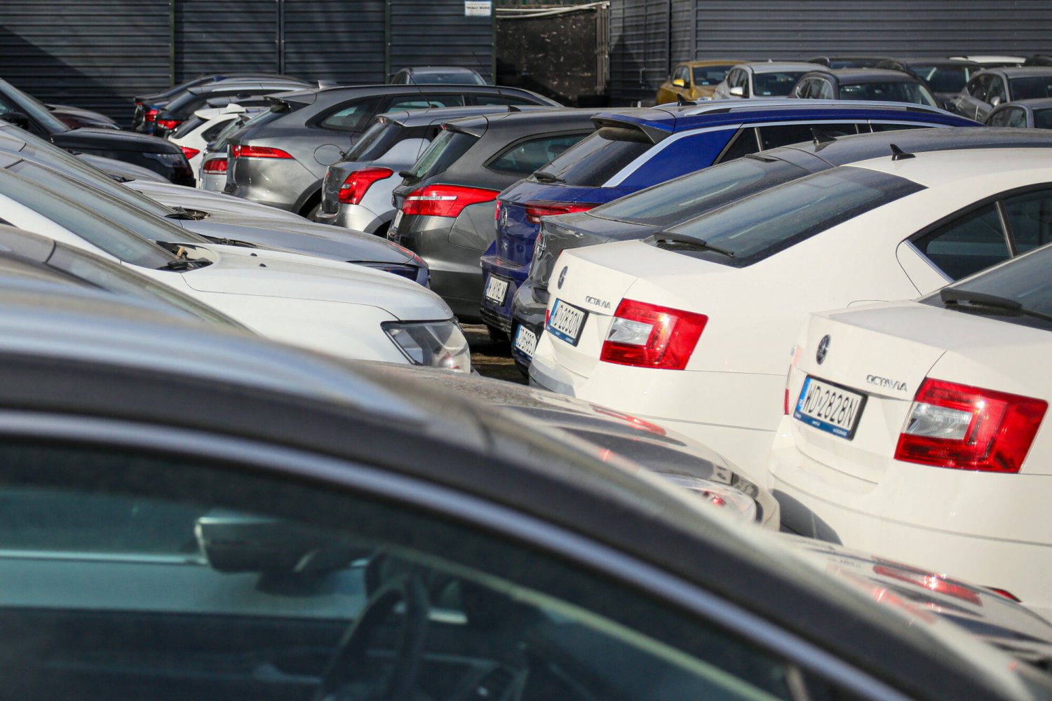 Zdjęcie jest ilustracją do tekstu.