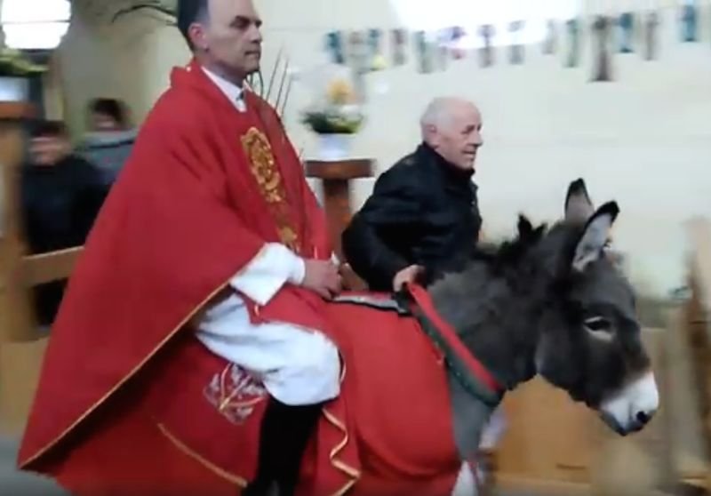 Ksiądz w Niedzielę Palmową wjechał na osiołku do kościoła.