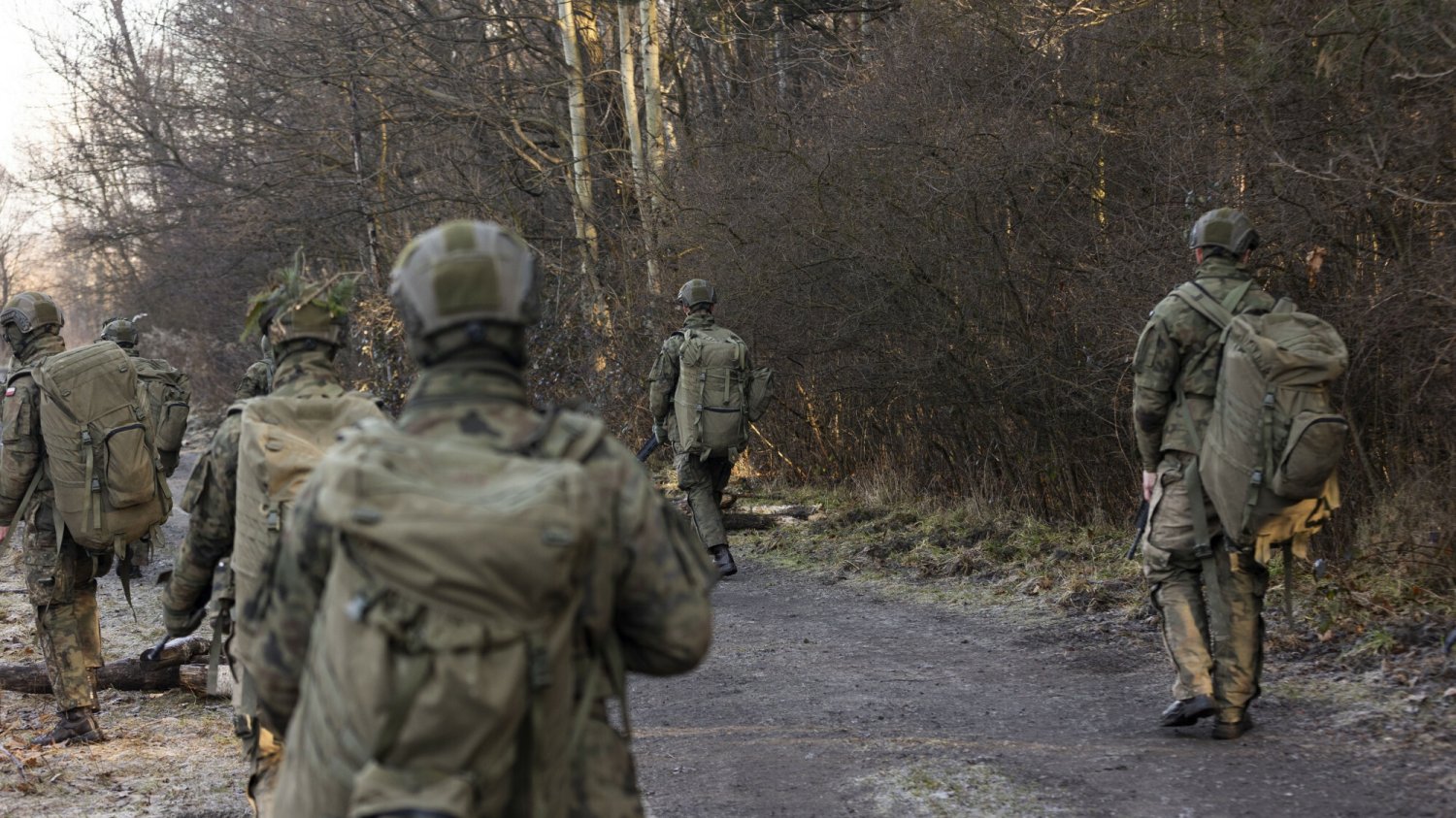 Media: zrozumienie Berlina dla decyzji sojuszników ws. min