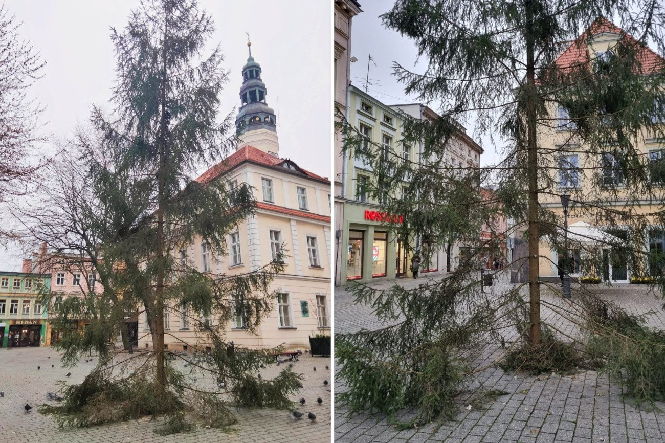 Choinka w Zielonej Górze – ładna? Choinka w Zielonej Górze – ładna?