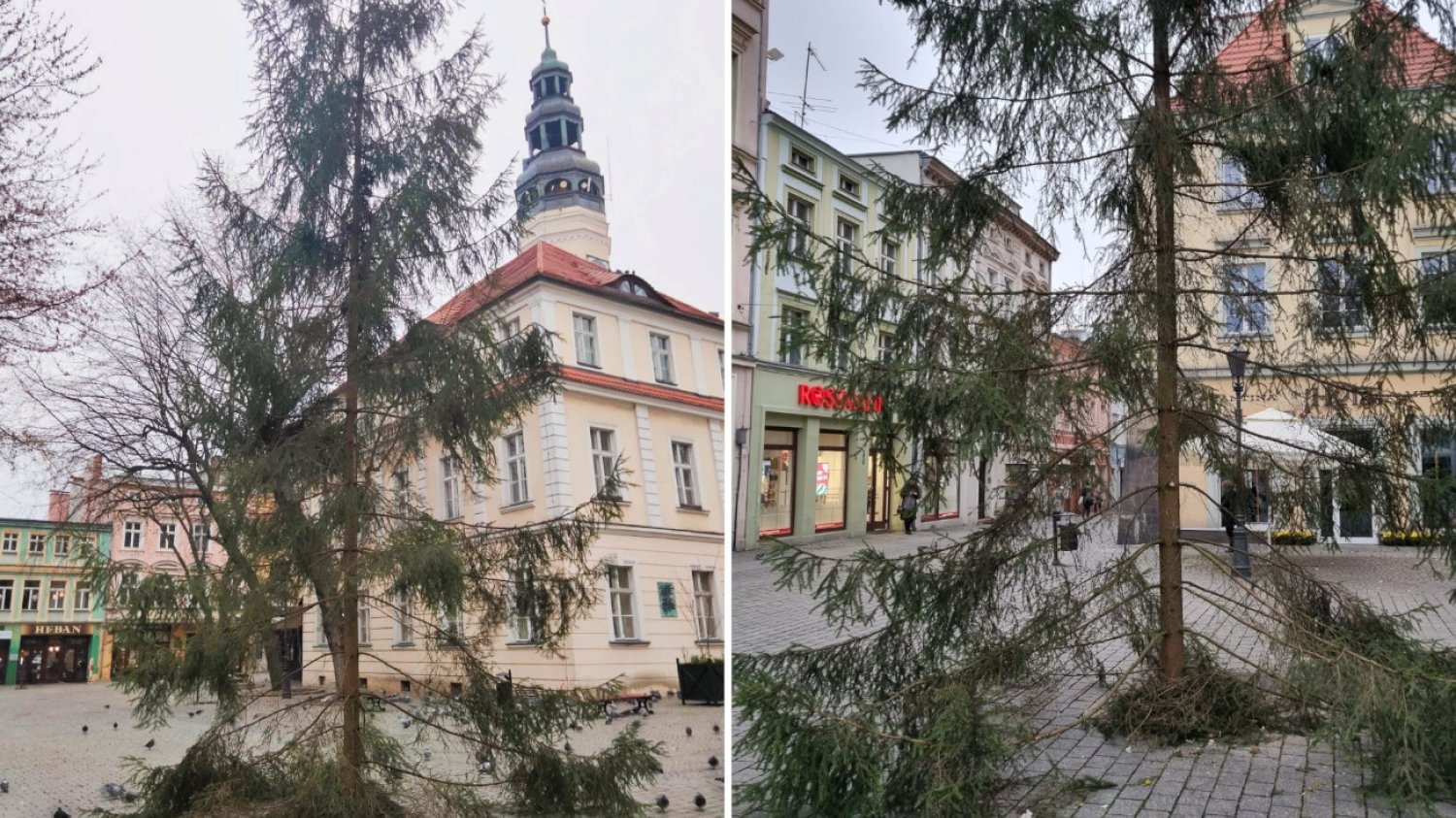 Choinka w Zielonej Górze – ładna?
