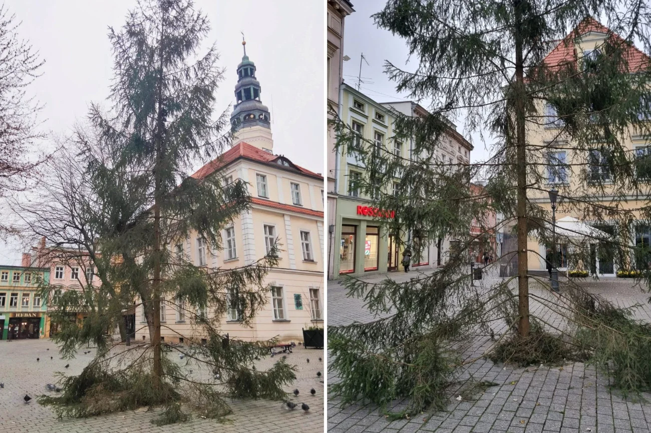 Choinka w Zielonej Górze – ładna?