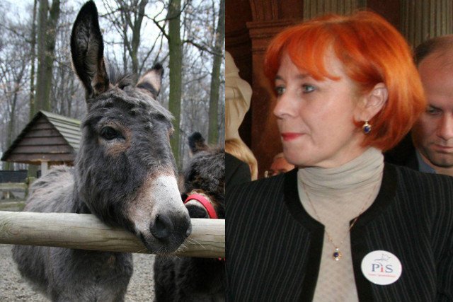 Radna Poznania Lidia Dudziak prawdopodobnie przestanie być liderką listy PiS w wyborach samorządowych.