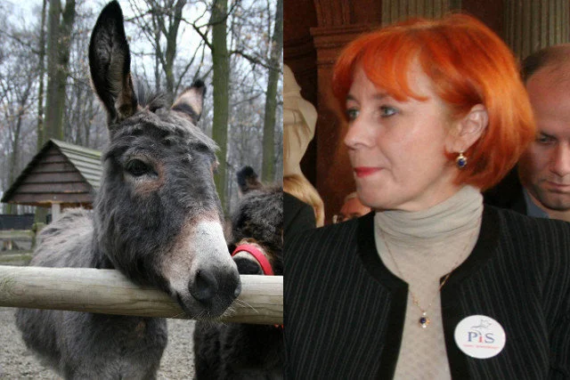 Radna Poznania Lidia Dudziak prawdopodobnie przestanie być liderką listy PiS w wyborach samorządowych.