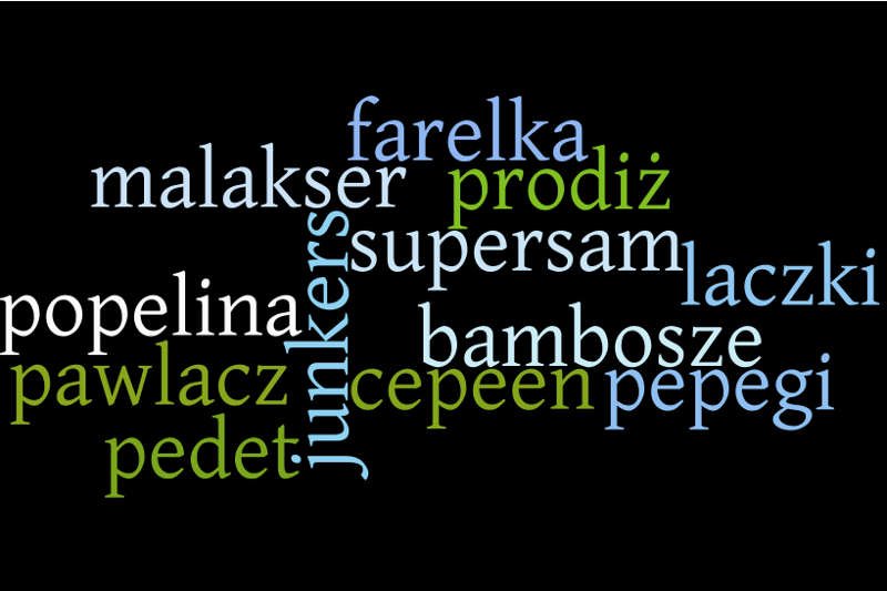 Farelka, pawlacz i prodiż, czyli 10 słów, których młodzież nie rozumie. "Gimby tego nie znajo"
