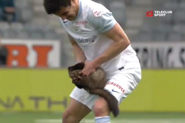 Kuna walczy z obrońcą FC Zurich Lorisem Benito