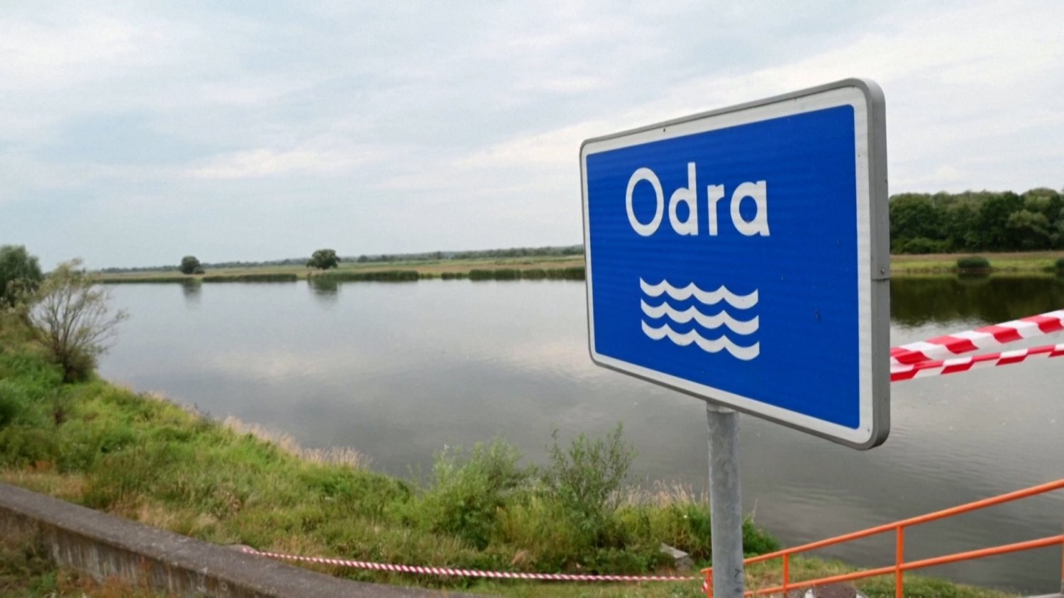 Katastrofa ekologiczna Odry. Jest oficjalne potwierdzenie ws. rtęci