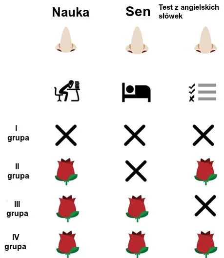 Do udowodnienia związku pomiędzy snem, pamięcią, zmysłem węchu i procesem nauczania wystarczyły badania, w których wzięło udział 54 szóstoklasistów z Niemiec.