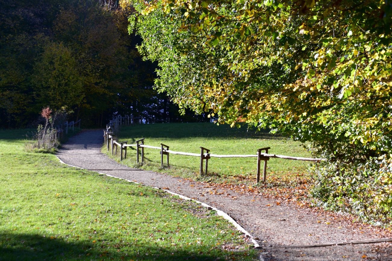 Czy jesień zaczęła się w sierpniu? Eksperci zabierają głos