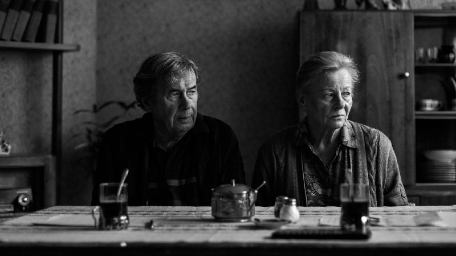 Janusz Gajos i Anna Nehrebecka
