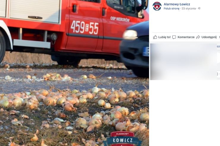 Rozsypana cebula spowodowała utrudnienia w ruchu