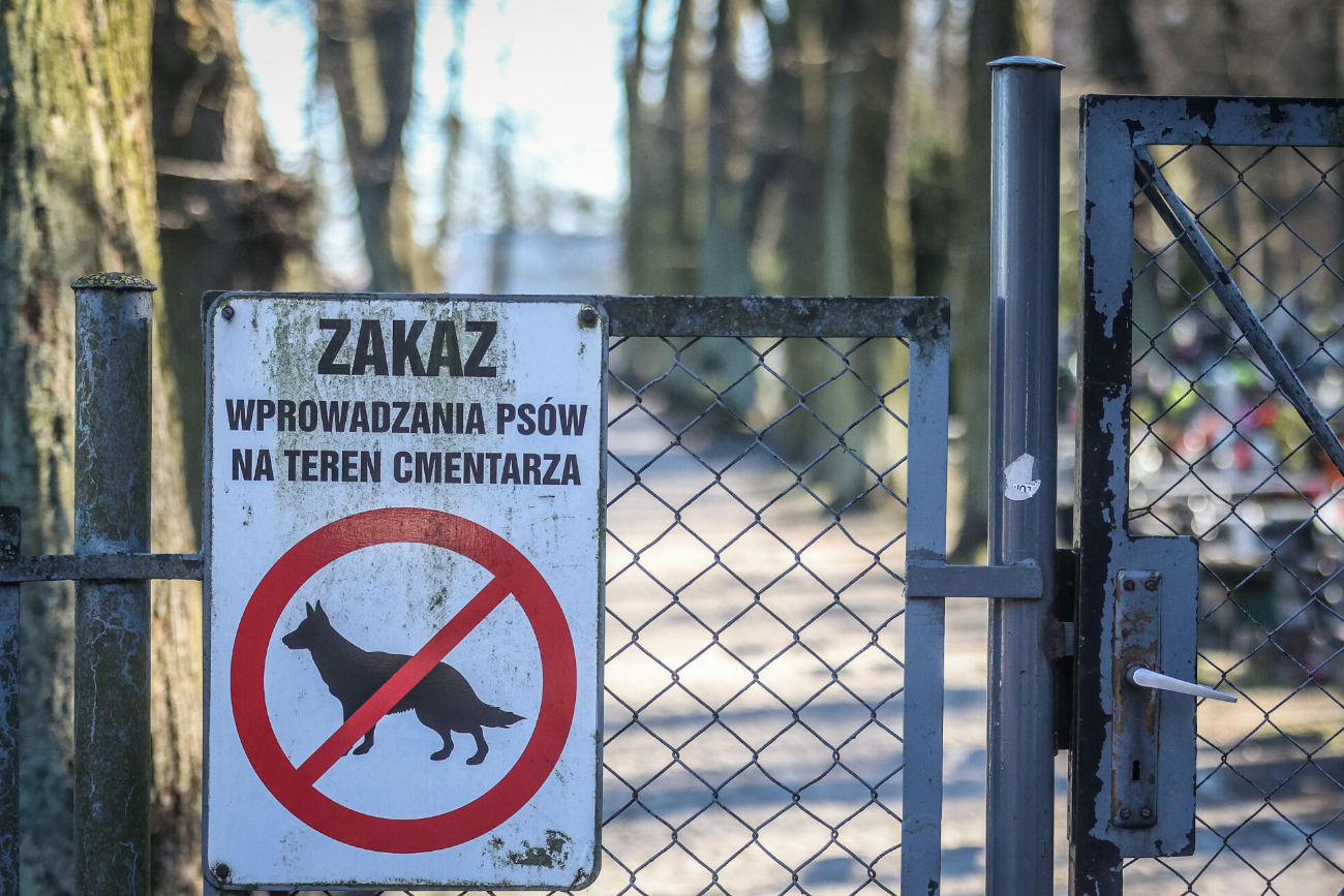 Afera na ostrołęckim cmentarzu. Poszło o... psa.