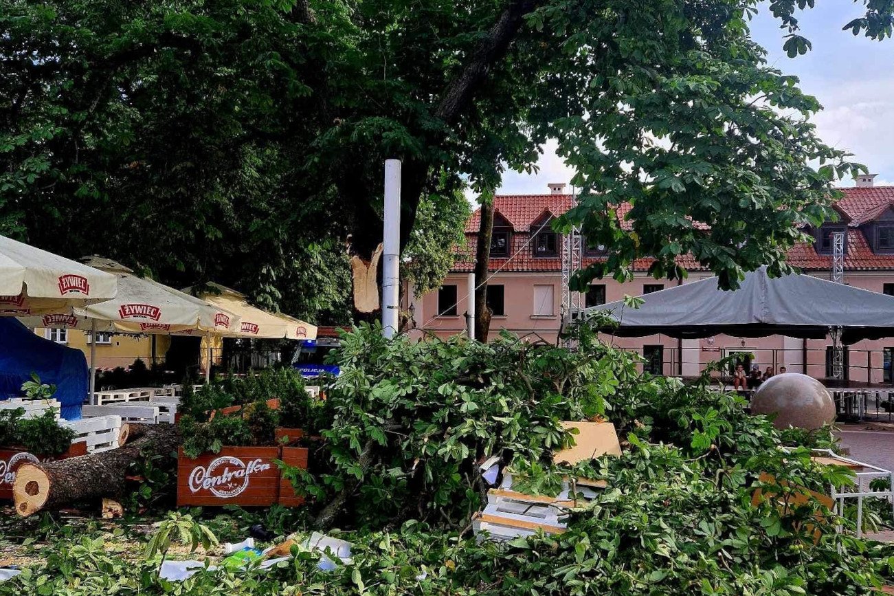 Przy Rynku Wodnym w Zamościu kilka osób zostało przygniecionych przez drzewo