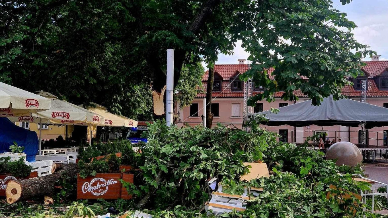 Przy Rynku Wodnym w Zamościu kilka osób zostało przygniecionych przez drzewo