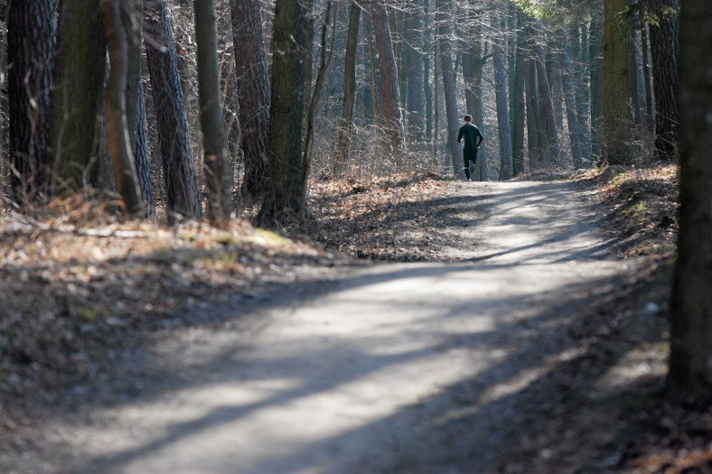 Od 20 kwietnia lasy znów otwarte. Co z maseczkami w lesie?