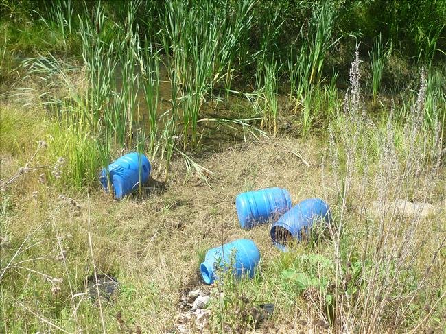 zwłoki znaleziono w 4 beczkach porzuconych w lesie