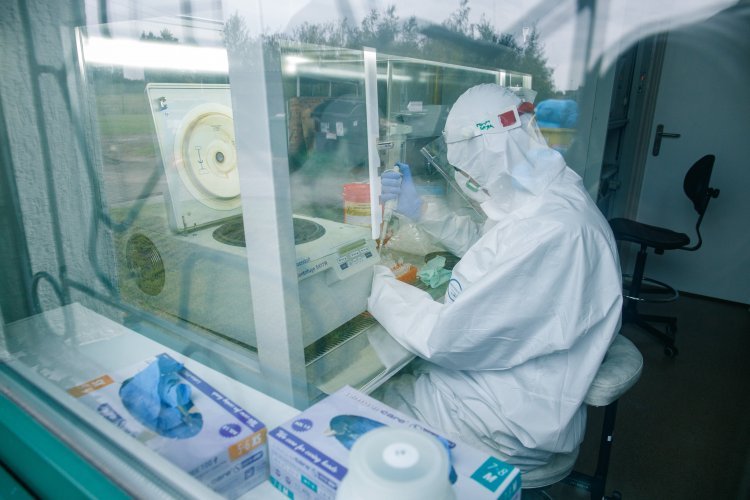 Mutacje koronawirusa w Europie. Nowy rodzaj pojawił się w Finlandii.