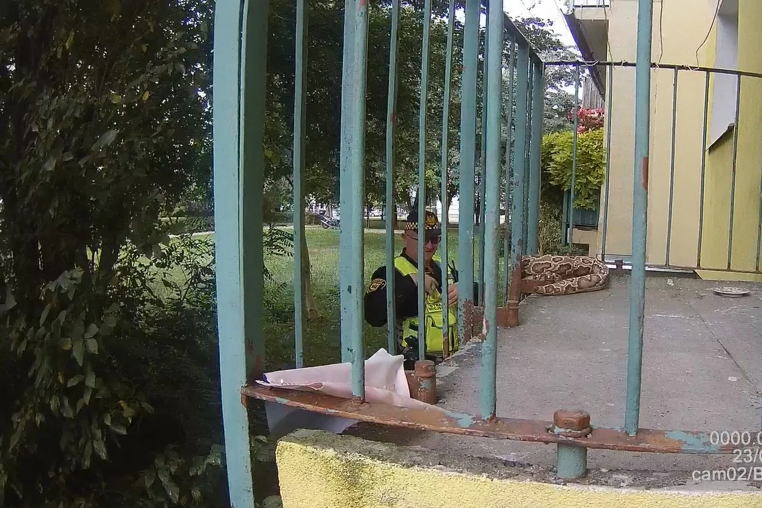 Mieszkanka Żyrardowa zgłosiła Straży Miejskiej, że jej balkon oplótł wielki wąż