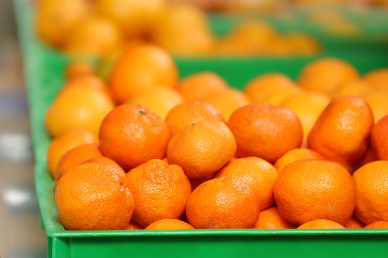 Marihuana w mandarynkach. CBŚP: Narkotyk jechał do Polski z Hiszpanii.