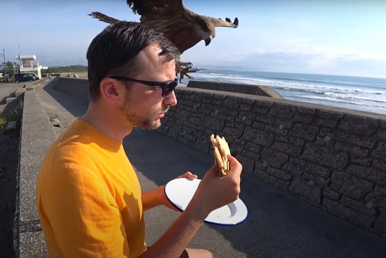 Jastrząb kradnie kanapę jedzącemu ją mężczyźnie