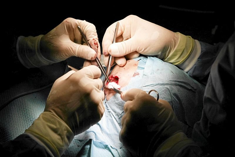 Według Naczelnej Rady Lekarskiej, sumienie lekarza ma większe znaczenie niż prawa pacjenta...